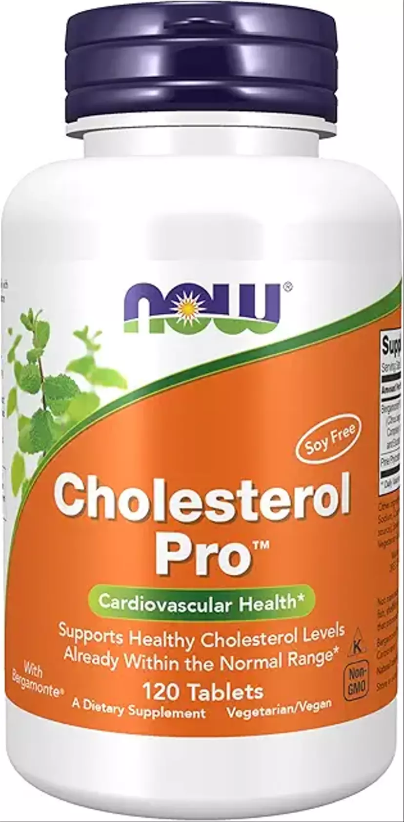 Cholesterol Lowering Tablet